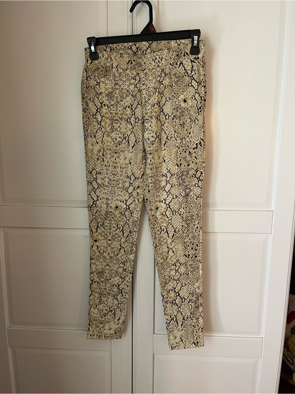 Spell Aloha Python Jets - Picture 2 of 5